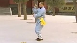 Shaolin small power (pao quan) aka. iron arm kung fu (tie bi quan)