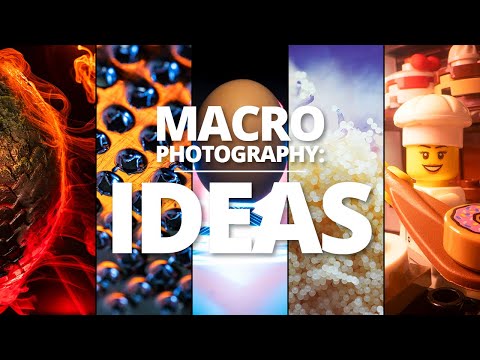 Macro photography project ideas to try at home in 2025!