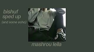 bishuf - mashrou leila (sped up/echoes)