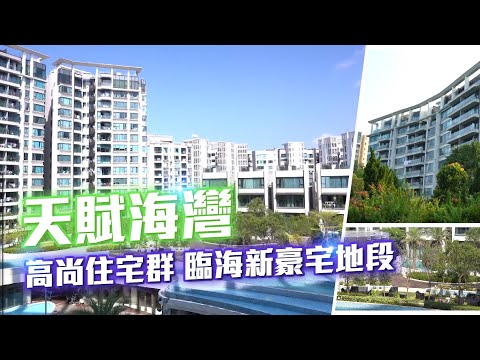 天赋海湾 Youtube Video
