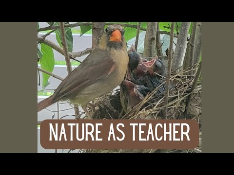 Nature as Teacher   1080WebShareName