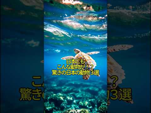 日本の動物の特徴と写真 - 日本の代表的な動物30選