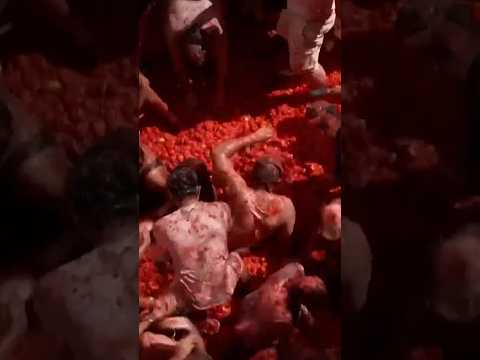 Revelers toss tomatoes at Spain's La Tomatina festival