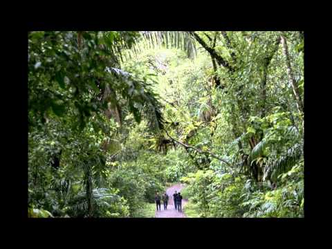 Lo que hay - Señor Loop