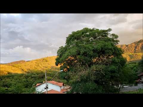 Egberto Gismonti, Amsterdam (2010)