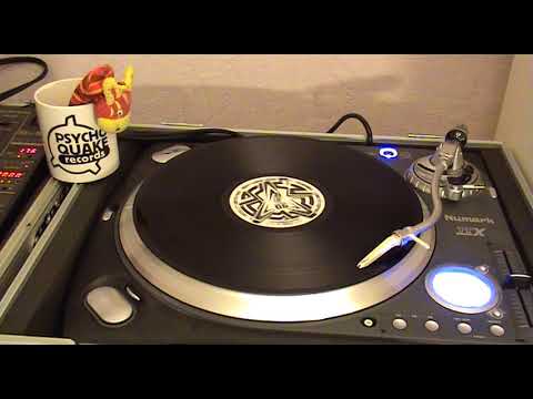 [Tribe / Hardtek] Teknambul - "Kung Fu Fighting" (Psychoquake 06 - Vinyl & Digital)