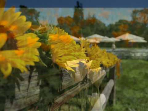 Fratii Iurco O Domnul meu Cel Bun