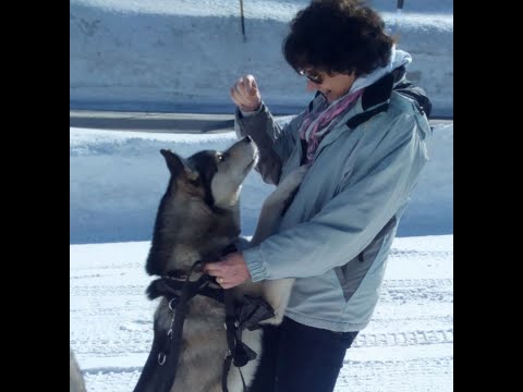 - Io e te da soli (Mina ) by Graz