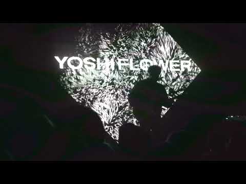 Yoshi Flower - Brown Paper Bag [Lyrics]