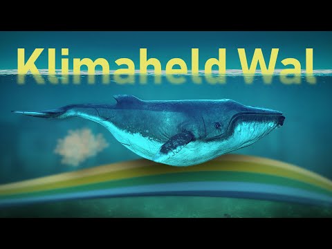 Vorschaubild Video