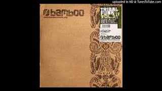 Tribal Funk - You Ain't All That