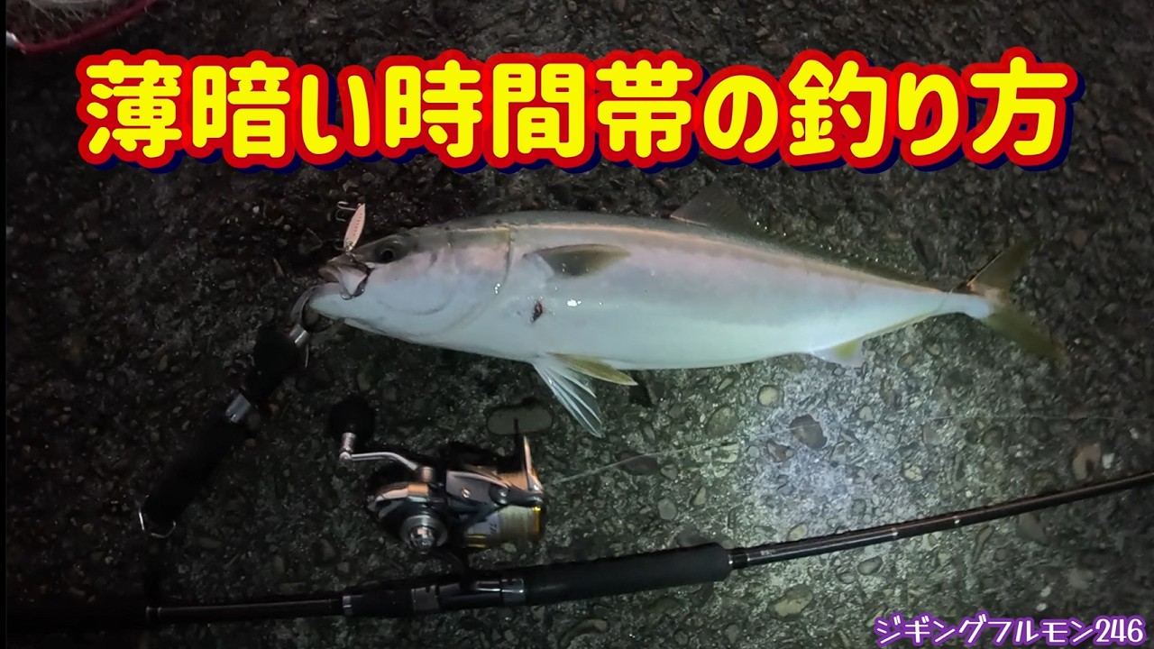 【ブリ】薄暗い時間帯に釣る！夜明けの前の堤防ショアジギング【ハマチメジロ】ジギングフルモン298
