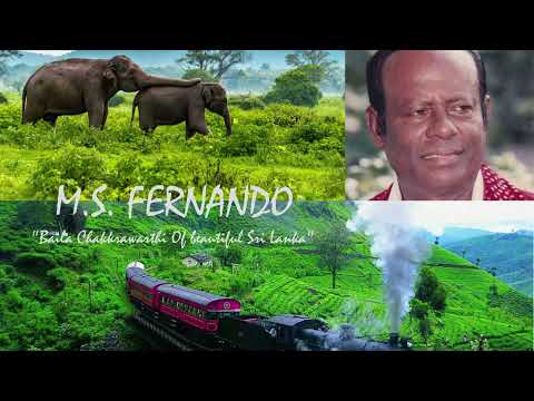 ලස්සන රෝස මලක් | Lassana Rosa Malak Mata - M S Fernando