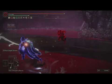 Average fingerprint shield user VS Scythe enjoyer | Elden Ring |