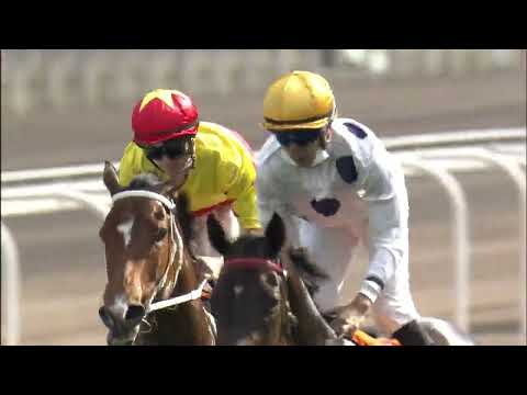 金鎗六十22/04/24……(611)第八塲一級1600米(巡邏影片)