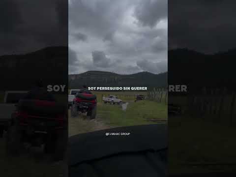 Traigo cerca el peligro ⛔️⚠️