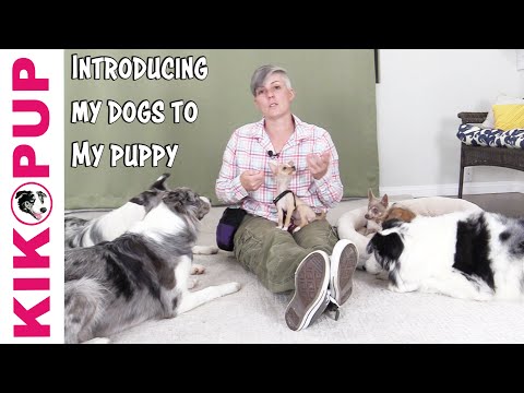 STOP UNWANTED behaviors with BACK UP