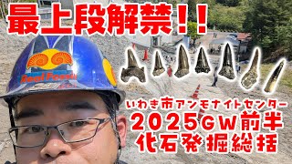 いわき市アンモナイトセンター2025ゴールデンウィーク前半体験発掘総括