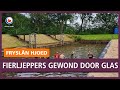 REPO: Fierljeppers in Buitenpost gewond door stukken glas in zandbed