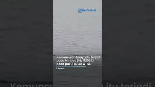 BIKIN TAKUT! Viral Penampakan Buaya Berukuran Sebesar Perahu di Laut