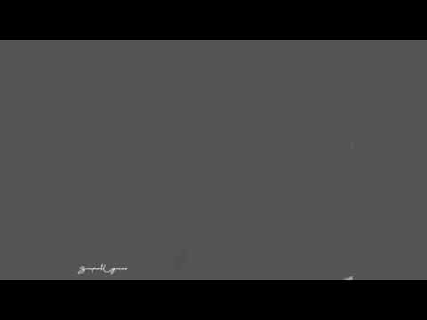 Hits Song Speechless with Lirycs - Naomi Scott