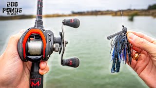 Will This JIG Catch Fish In My Pond? (200 Ponds Ep. 7)