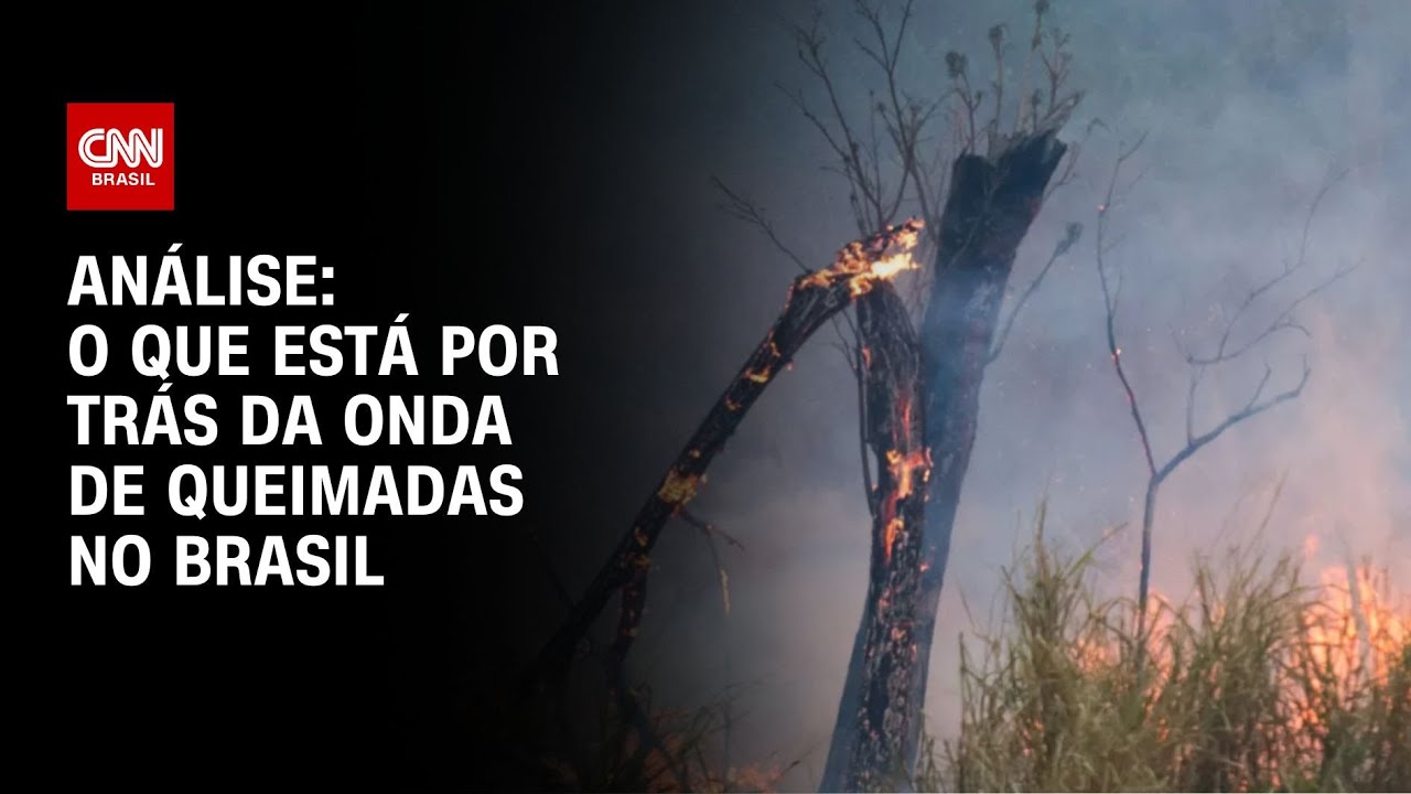 Análise: O que está por trás da onda de queimadas no Brasil | WW
