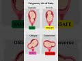 Presentation And Baby S Lie During Pregnancy Shorts