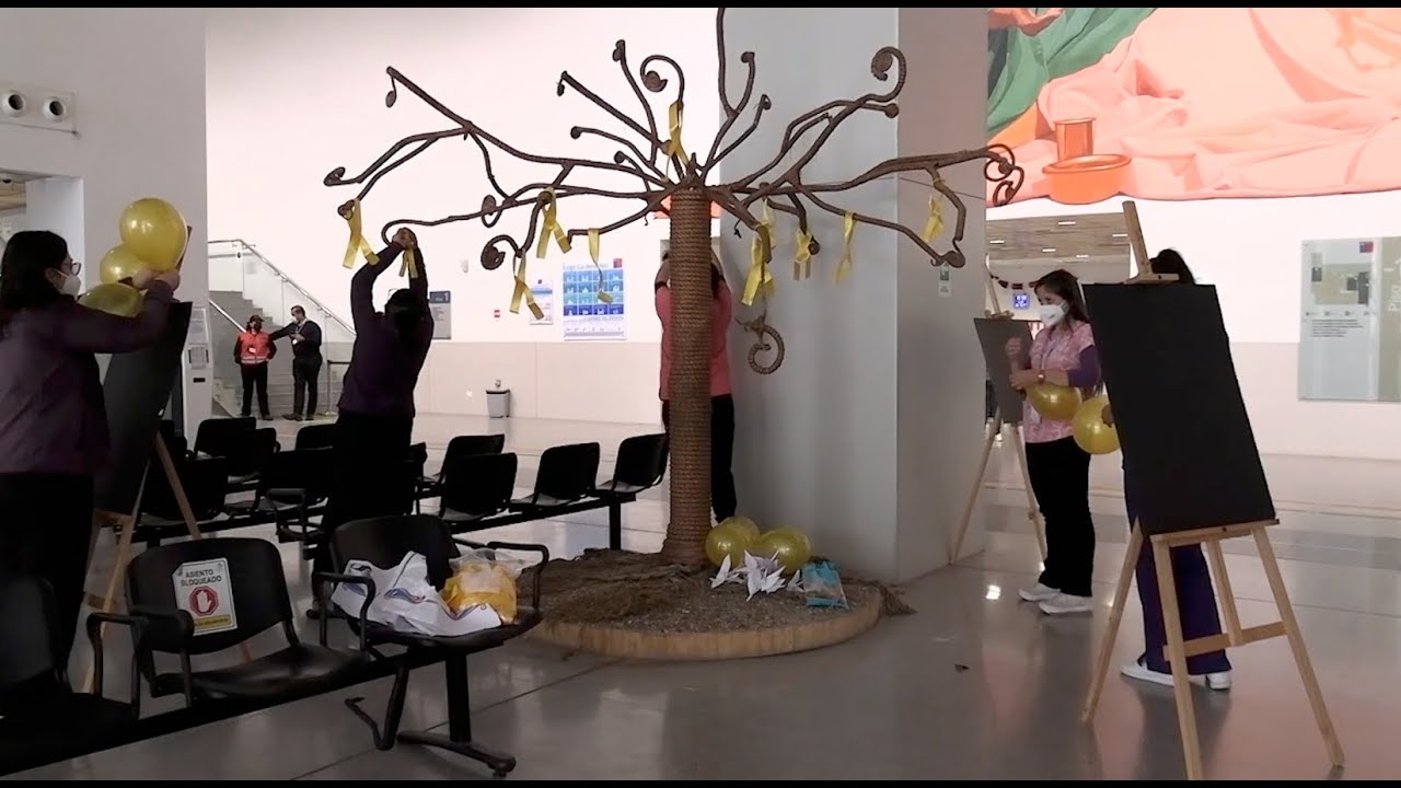 Tamara Inostroza Cancino-8