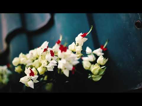 Swati chauhan real estate...