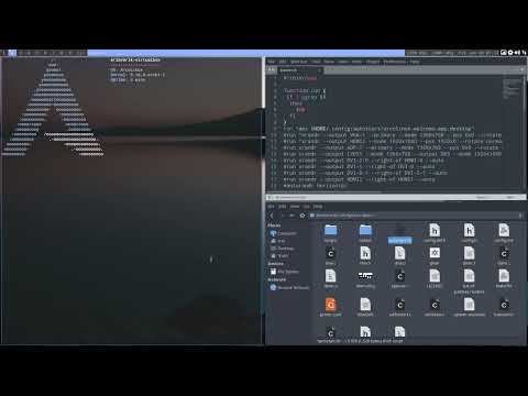 ArcoLinux : 2598 Dwm - Update - autostart - skel - meld - alacritty warning