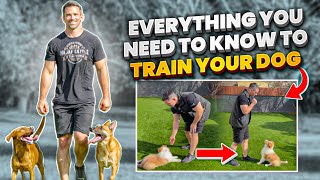Everything You NEED To KNOW To TRAIN Your DOG!