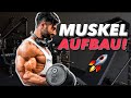 Muskel Pump im Training HART unterschätzt?! (Neue Muskelaufbau Studie 2022)