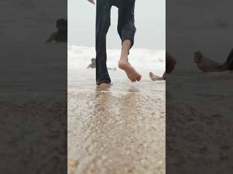 Picnic Scenz #shortvideo