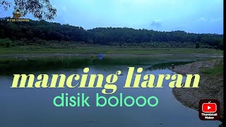 Download lagu Info spot mancing pelem binatur WKO Kidul ndeso air mulai surut tajam mp3