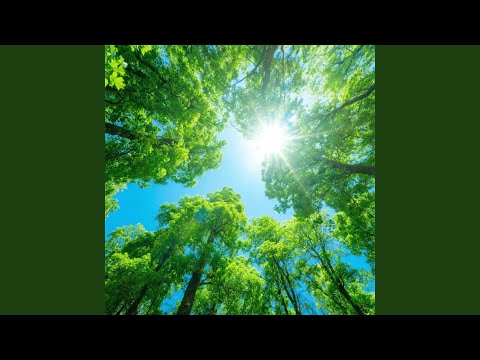 Bright For The Daylight