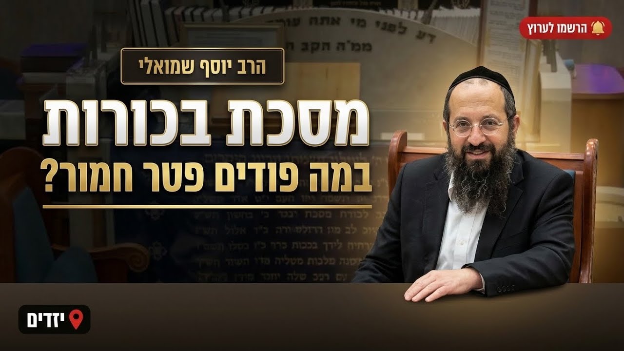 הרב יוסף שמואלי • מסכת בכורות דף יב ע"א: במה פודים פטר חמור?