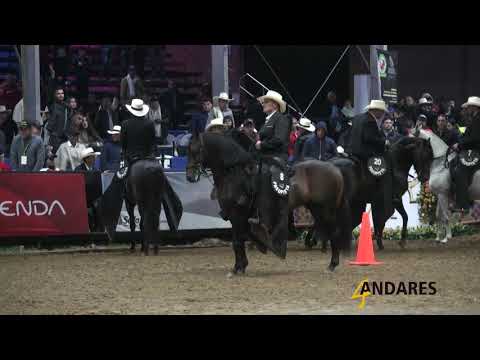 ATRACTIVO DE LA PIRAMIDE VS MITO DEL LIBANO VO VS BARBA ROJA DE LA THANIA