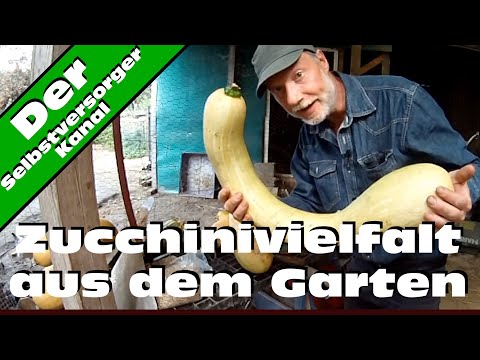 , title : 'Zucchinivielfalt im Garten'