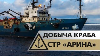 Когда ловят краба в охотском море