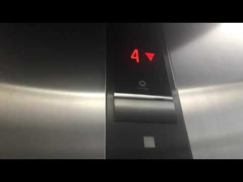 Black Linea300! 2017 scenic schindler 5500 MRL traction elevators at Raićeva mall, Belgrade,Serbia