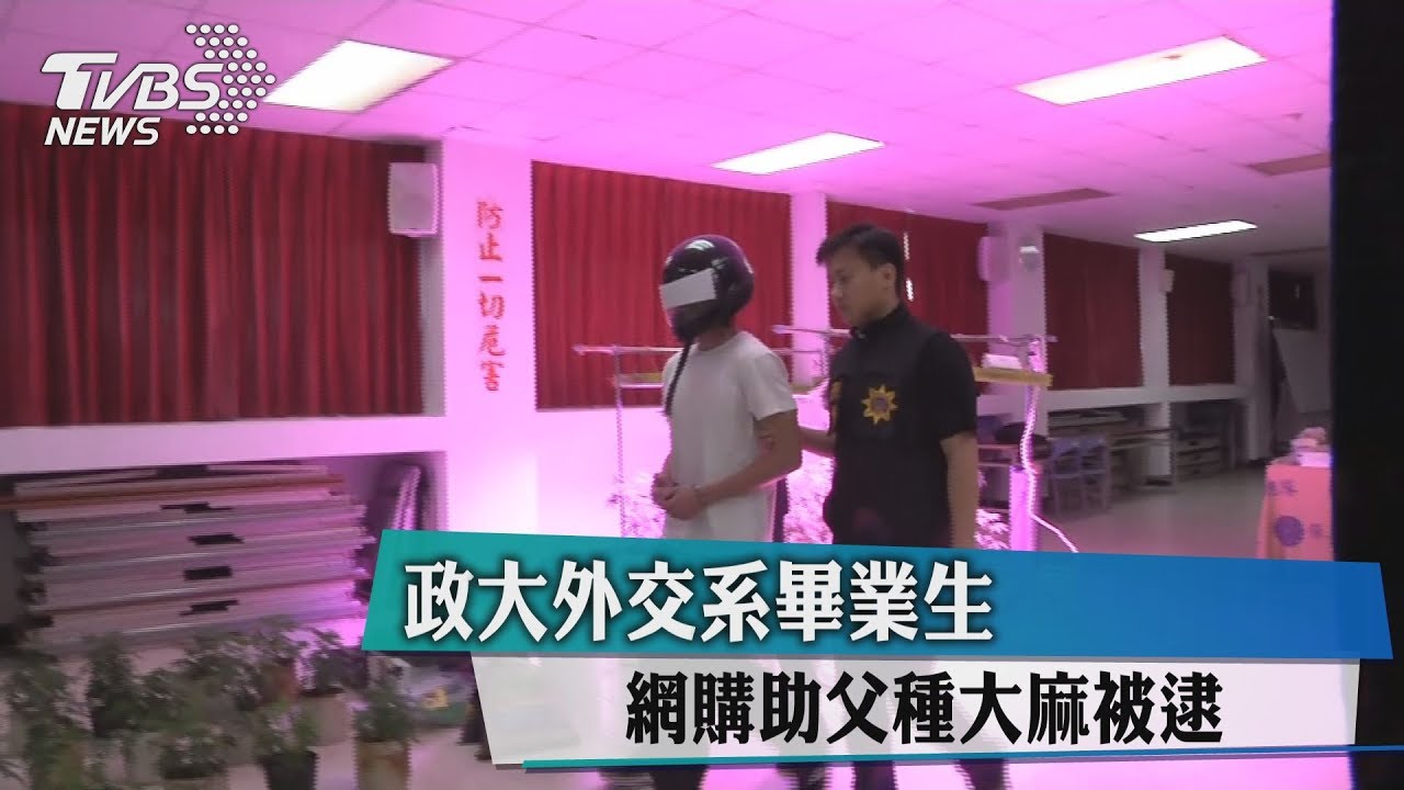 政大外交系畢業生 網購助父種大麻被逮