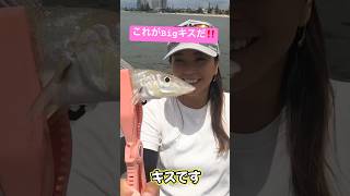 オーストラリアのビッグキス #キス釣り #オーストラリア