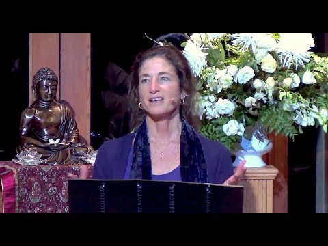 Tara Talks - Guided Reflection: Being with Vulnerability
