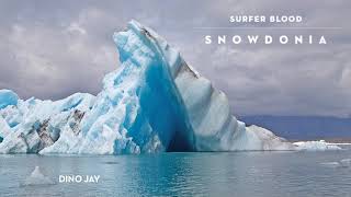 Surfer Blood - Dino Jay (Official Audio)