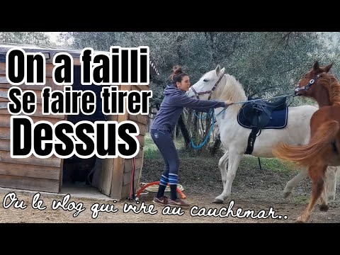 CETTE VIDÉO AURAIT PU TOURNER AU DRAME — ON A FAILLI SE FAIRE TIRER DESSUS — PLUS JAMAIS CA 🙏🏻