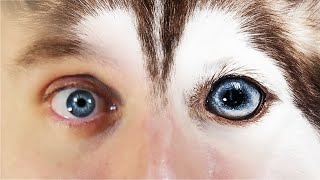 The Line Between People And Pets