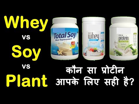 Whey protein vs soy protein vs plant protein