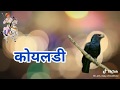 Teja Re Thare Mandiriye Bole Koyaldi WhatsApp Status Tejaji WhatsApp Status Tejaji Song