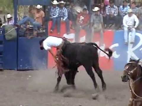 MONTA DE RAMON MEDINA VS EL MEZCAL DEL RANCHO EL TREBOL (JARIPEOS POTOSINOS)